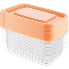 CONTENITORI ECO-FRESH 10PZ 120ML