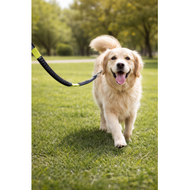 MIBA GUINZAGLIO ESTENSIBILE