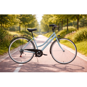 DENVER BIKE TRKLADY - BICICLETTA CITY NEW TRX 28''