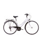 DENVER BIKE BICICLETTA TREKKING 28'' ACCIAIO DONNA - MD WebStore