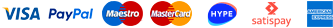 Loghi dei metodi di pagamento accettati: carte di credito, PayPal, Satispay e altri